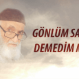 Gönlüm sana demedim mi